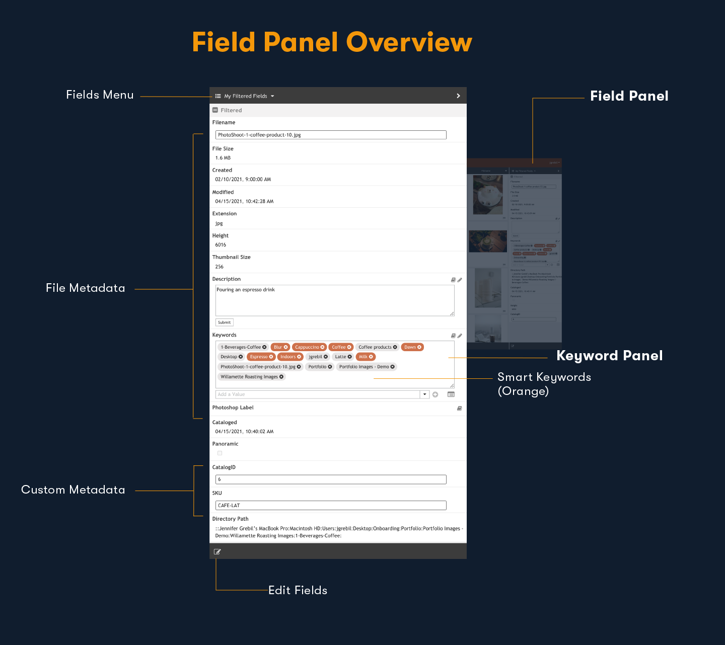 FieldPanelOverview.png