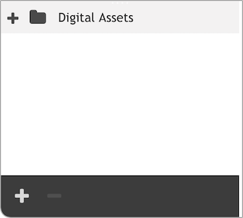 The folder pane showing the new Digital Assets folder